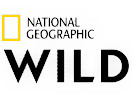 Nat.Geo.W NL / National Geographic Wild Nederland